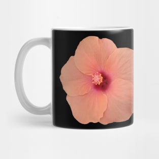 coral color flower, hibiscus, flowers, blossom, Mug